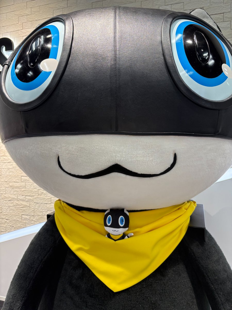 Atlus_korea's tweet photo. 아틀러스 코리아 담당자가 아틀러스 본사를 방문!
모르가나와 모르가나를 촬영해 보았습니다📸
⠀
귀여움 x 귀여움은 역시 최강이네요👍 https://t.co/lnn8ns28li