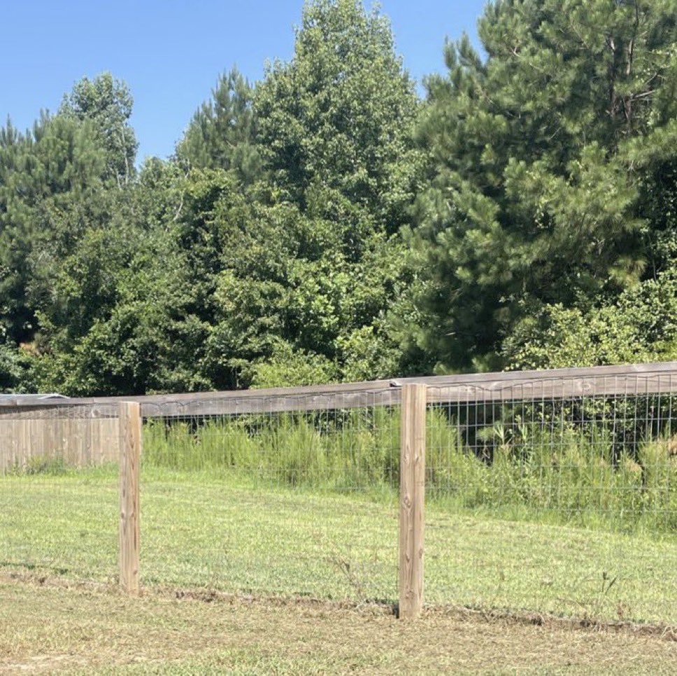 cowincrisis's tweet photo. the grass is literally greener on the other side i can fucking see it https://t.co/zp3Kcdy1ez