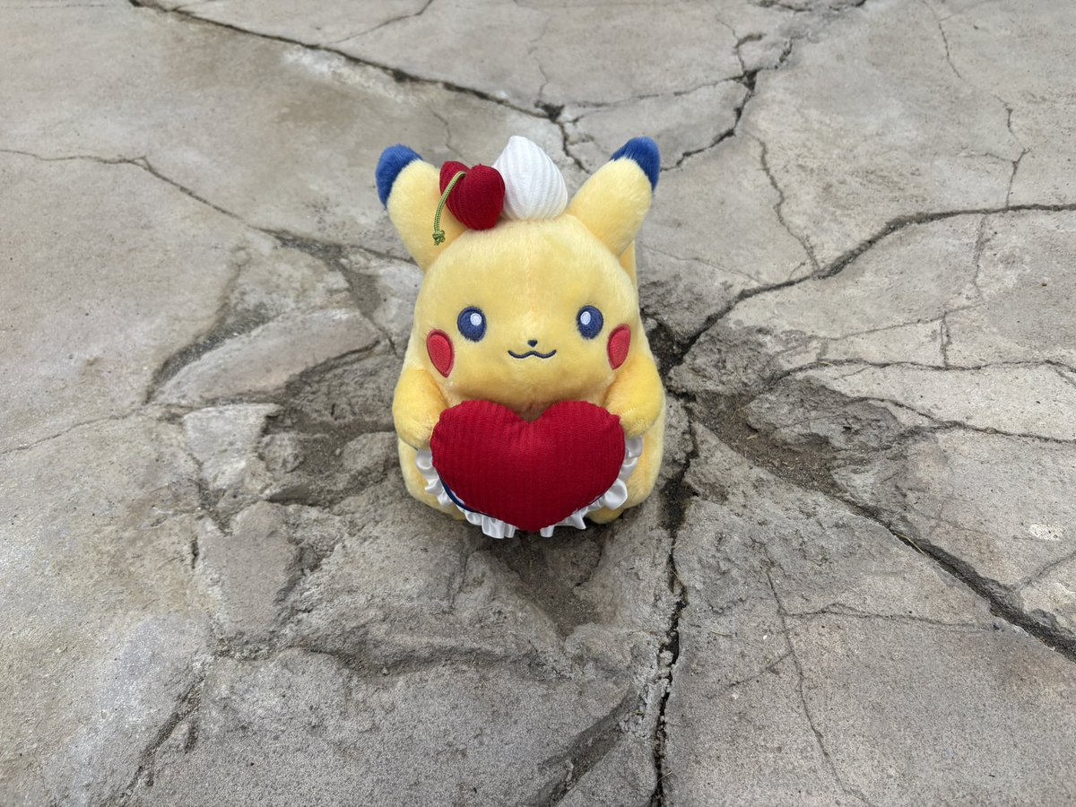 nitikapo's tweet photo. ポケパークにお気に入りのピカチュウを連れて行った https://t.co/KRGhrsIuzY