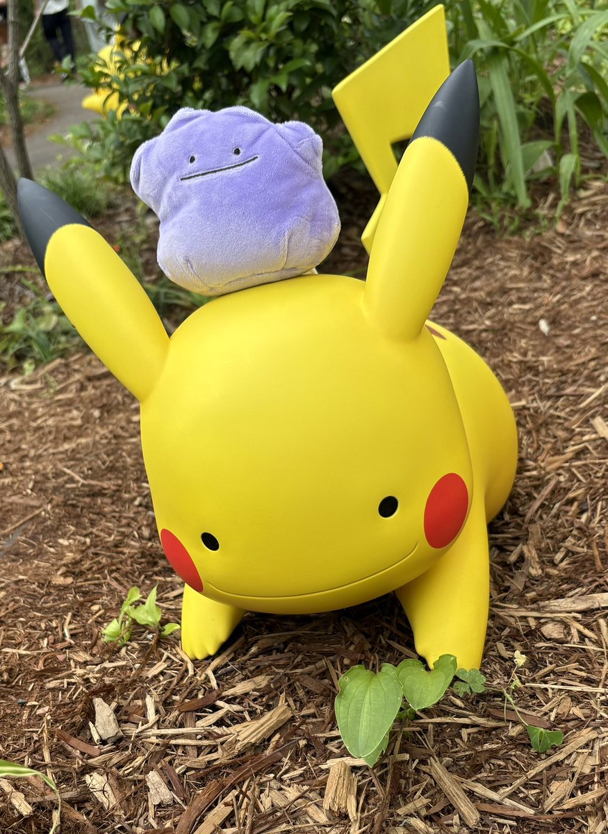 nitikapo's tweet photo. ポケパークにお気に入りのピカチュウを連れて行った https://t.co/KRGhrsIuzY