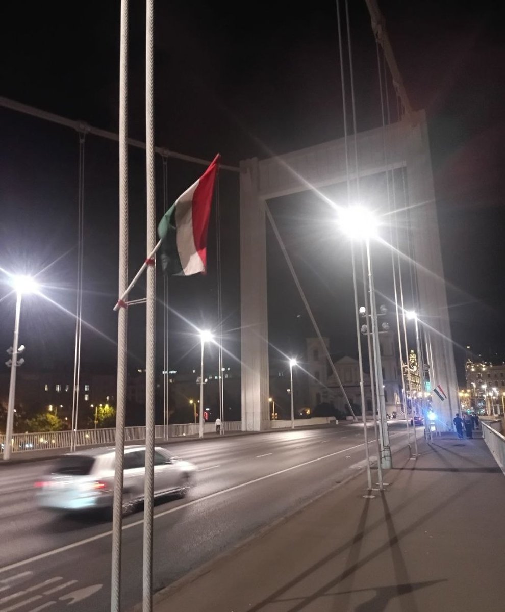 szkrcom's tweet photo. Olvasónk küldte: olyan zászlókat raktak az Erzsébet hídra, amik valóban méltóak rá.👏🇭🇺 https://t.co/JsSfBdwH6d