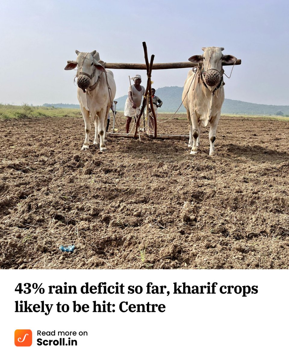 scroll_in's tweet photo. The minister said that most of the districts that have been affected by low rainfall are in 12 states: Andhra Pradesh, Bihar, Gujarat, Jharkhand, Karnataka, Madhya Pradesh, Maharashtra, Odisha, Rajasthan, Tamil Nadu, Telangana and Uttar Pradesh.

https://t.co/OHj9i1rOWV https://t.co/AlgplPg2nN