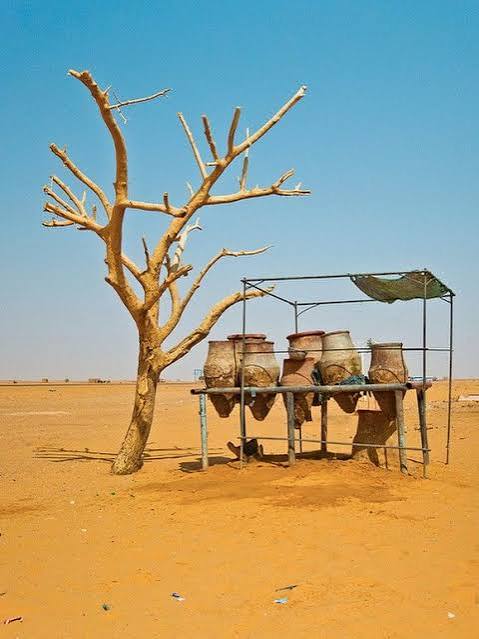SudaneseCulture's tweet photo. Everywhere You Go in Sudan, You’ll See Large Clay Pots on The Street Filled With Water for People To Drink For Free. 

#SudaneseCulture #ثقافة_سودانية https://t.co/GbfE7Ih8kZ