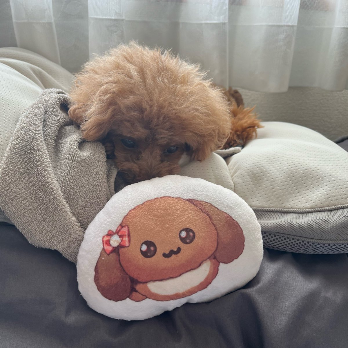 Haneru_Inaba's tweet photo. ホンモノの方が赤ちゃん https://t.co/qnxwUillk7