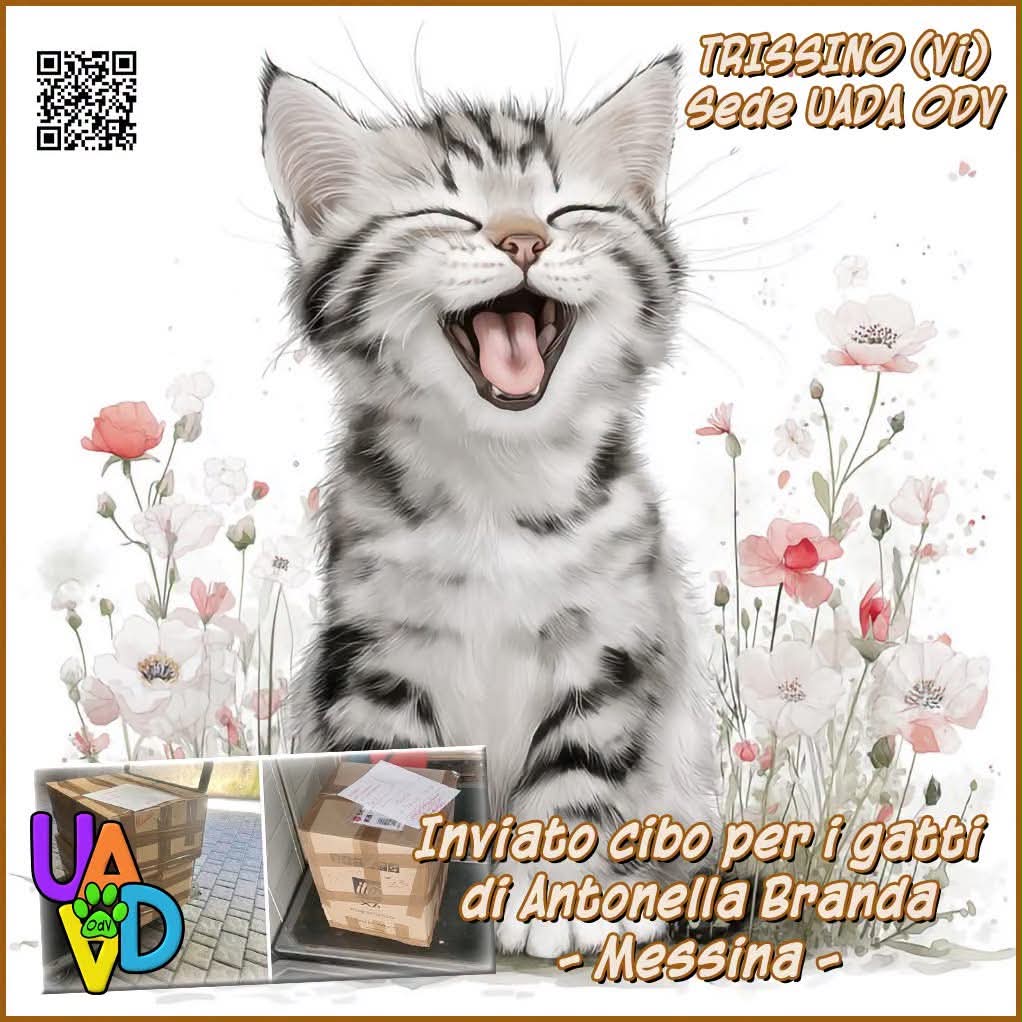 unonlus's tweet photo. 3 scatole x i gatti di Antonella Branda
spedizione da lei pagata

Per #DIFFONDERE ed #AIUTARCI, clicca su questo link: https://t.co/CrpgShBBkL https://t.co/nqojJ446c3