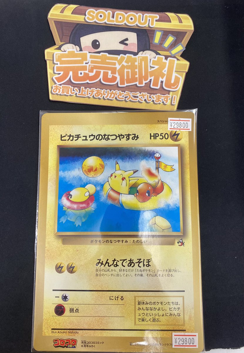 🌟完売情報🌟 ⚡️ピカチュウのなつやすみ⚡️完売致しました‼️ ご