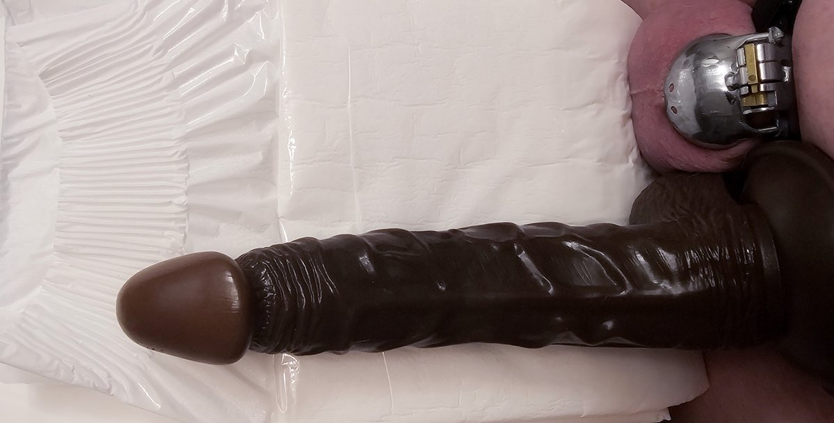 Generic00002's tweet photo. My #chastitycage vs #bbc vs #diaper https://t.co/4UoC2DJlFs
