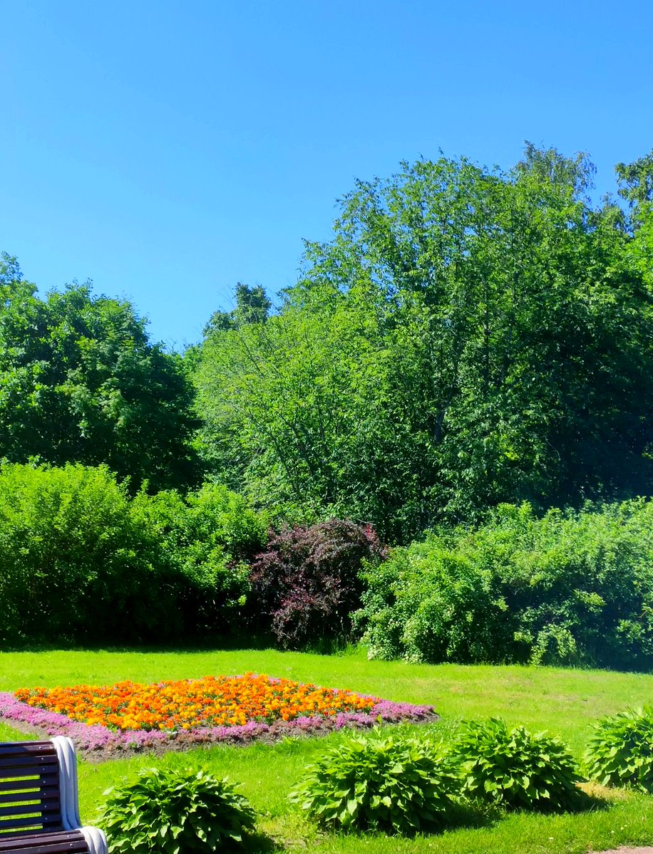 BezeDesign's tweet photo. Join our neighborhood weekend cleanup! We’ll meet at Oak Park at 9 AM on Sat, bring gloves u0026 a friend to spruce up our block—free snacks provided! https://t.co/QtGXA0v9zs