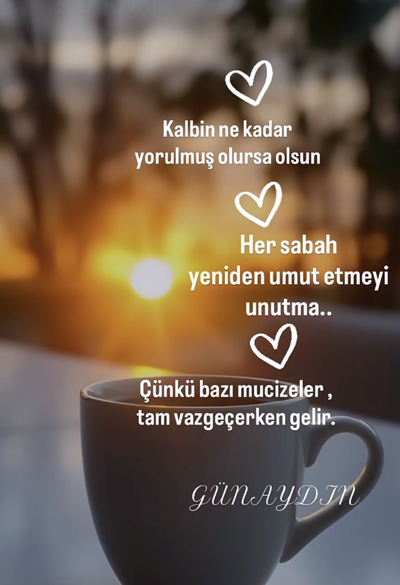 seldaakgun36's tweet photo. Gün; bir ağacın gölgesindeki huzur, berrak sulardaki saflık, topraktaki bereket ve aldığın nefesteki anlam kadar güzel olsun. 
#Hayırlısabahlar https://t.co/TO7yOcf56e