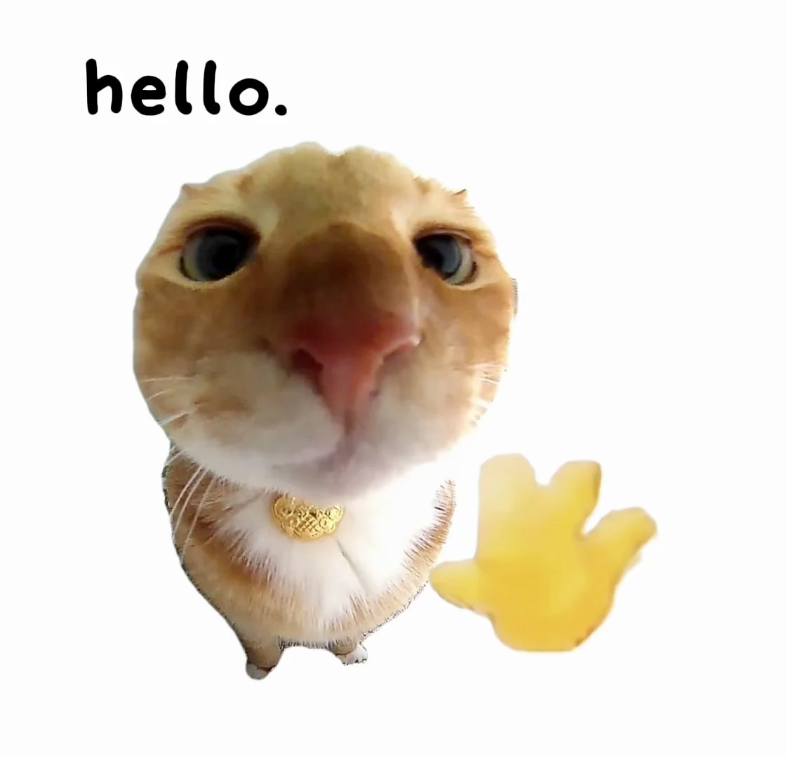 哈希猎人2.0 tweet media