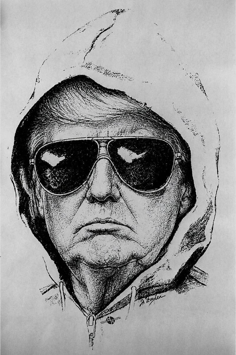 SundaeDivine's tweet photo. Police have released a sketch of the main suspect accused of defacing the reflecting pool. https://t.co/dI4QLa7CQs