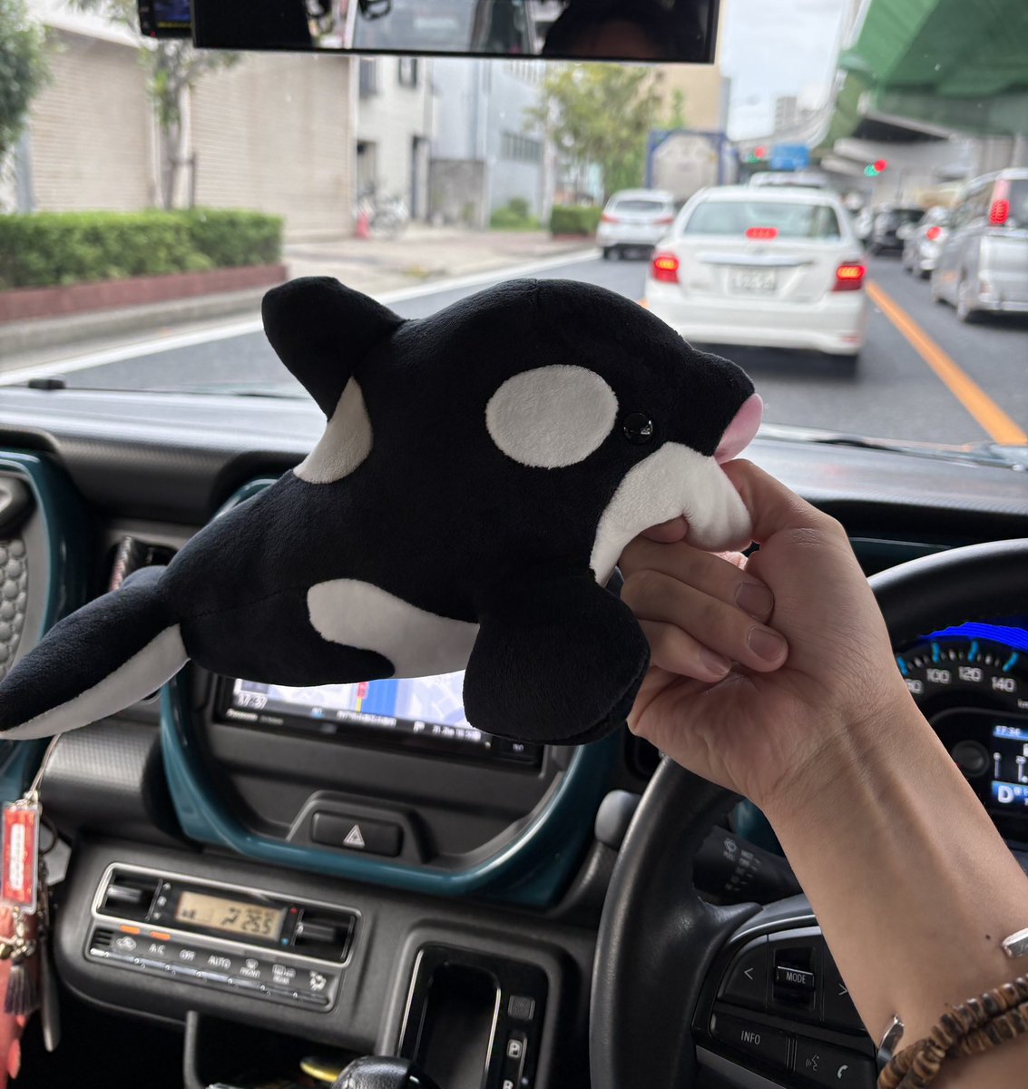 yygr1999's tweet photo. 昨日須磨でシャチ捕獲した🫍 https://t.co/fRy35K24b0