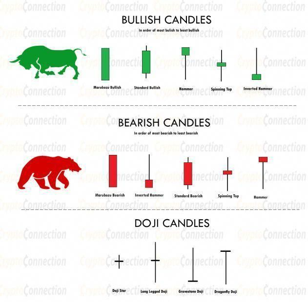 mybookmojo's tweet photo. Types Of Candles https://t.co/fRIXS5nnVq