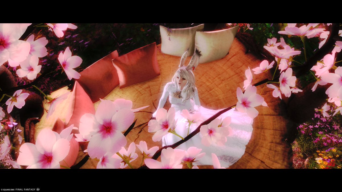 NeetNiya's tweet photo. #Fra_ST
#グルポ色
#FFXIV
#TLにヴィエラを貼ろう
#綺麗なお姉さんは好きですか
#疲れた時に見るヴィエラは自律神経を整えてくれるらしい
#ようこそ美しきヴィエラの世界へ
#影のカメラマン
©︎SQUARE ENIX https://t.co/eqFKpfw40f