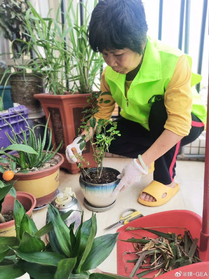 20KO8elmRtGtEwM's tweet photo. Happy houseplant alert!  Avoid overwatering—stick your finger 1 inch into soil: if dry, it’s time to water! Small tip = big healthy leaves. #PlantCare https://t.co/FWiaxse5xu