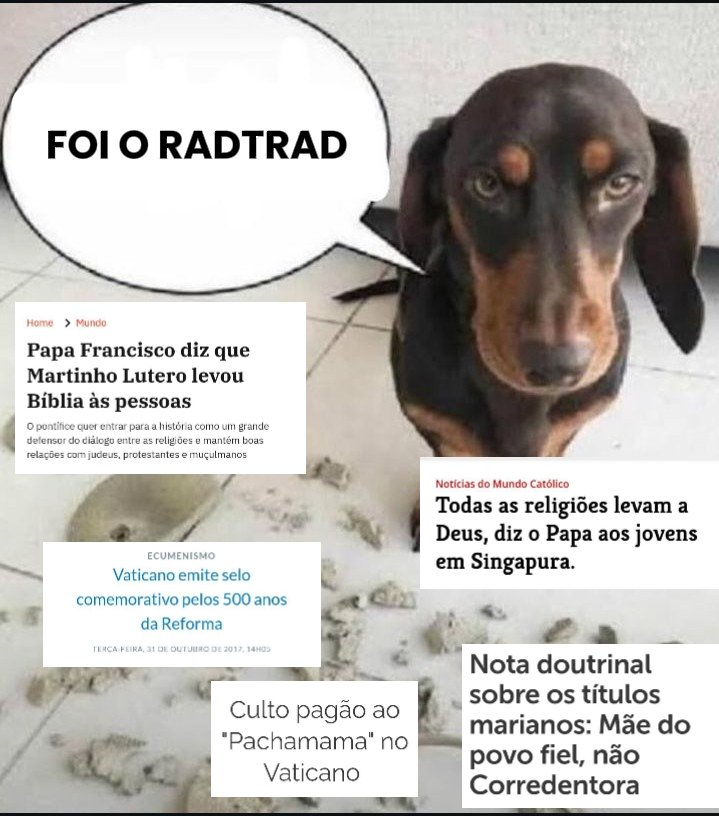 Vicent196's tweet photo. @JoaoAdvogado https://t.co/XcYKScEODq