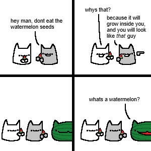 nuttimeister's tweet photo. watermelon https://t.co/MYjz9DnpWj
