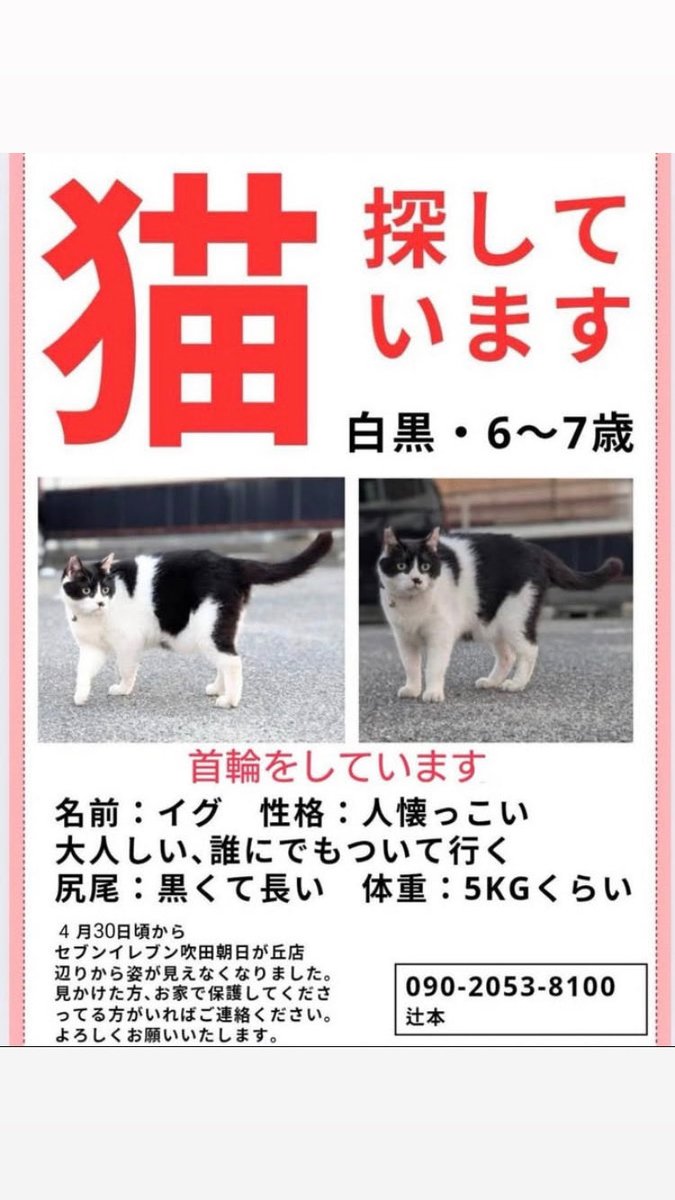 93osaka's tweet photo. 拡散希望　　白黒猫「イグ」を探しています。
2026年4月30日、吹田市朝日が丘のセブンイレブン付近で行方不明に。当時そこでイグを見たという方から、周囲の方が心配してて最後はどなたかが抱っこしていた、との情報頂きました。情報をご存じの方がおられないでしょうか？
#迷い猫
#吹田市
#拡散希望 https://t.co/UdUagqdGxk