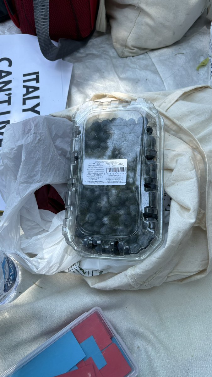 autumnplains's tweet photo. Halsey ci ha portato la frutta per la fila piango https://t.co/LAn8qxqvjK