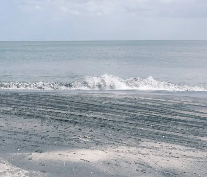 SertvNoticias's tweet photo. Las condiciones de oleajes y mareas en distintos puntos del litoral panameño mantienen el llamado a la población para seguir los reportes oficiales y tomar medidas durante actividades en playas, costas y zonas marítimas.

#NoticiasSertv https://t.co/WTqPmCV09V