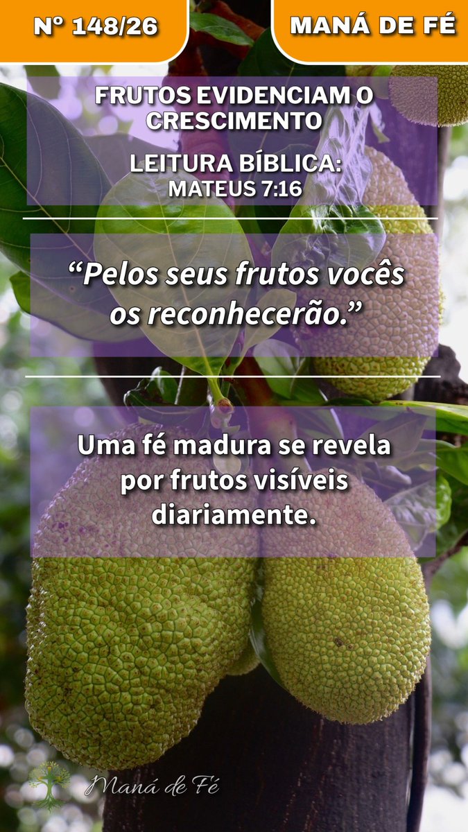 prnelsonsilva's tweet photo. *Maná de Fé Nº 148/26*

*Frutos Evidenciam O Crescimento*

Texto Bíblico (NVI 2011):
“Pelos seus frutos vocês os reconhecerão.” (Mateus 7:16a)

O crescimento espiritual se torna visível através dos frutos. Amor, paciência e domínio próprio revelam uma fé amadurecida. https://t.co/X53kopf94V
