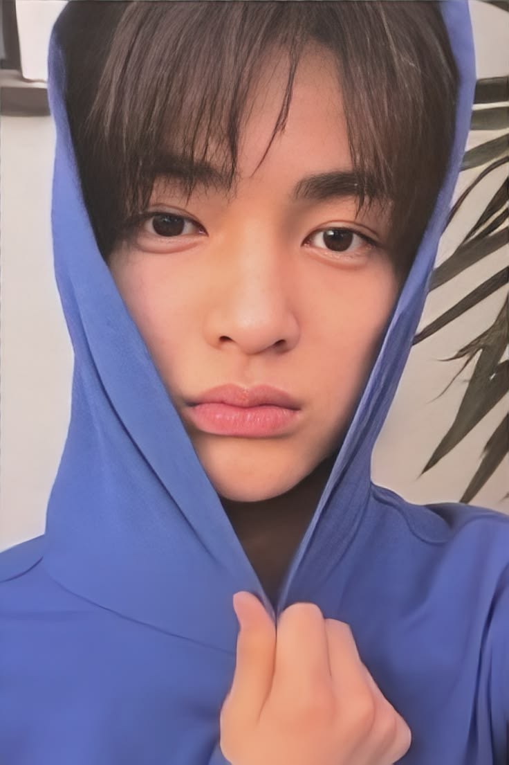 cortishaul's tweet photo. wtb 😿 https://t.co/oG2rNTllnI