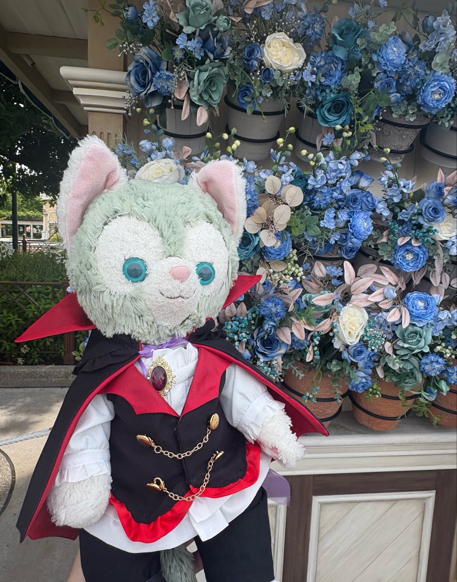 yu_su🐾6/24🌊 tweet media