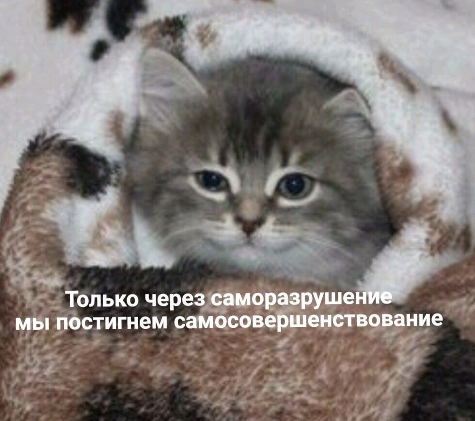 smali32768's tweet photo. https://t.co/OYiIsUEDkN
