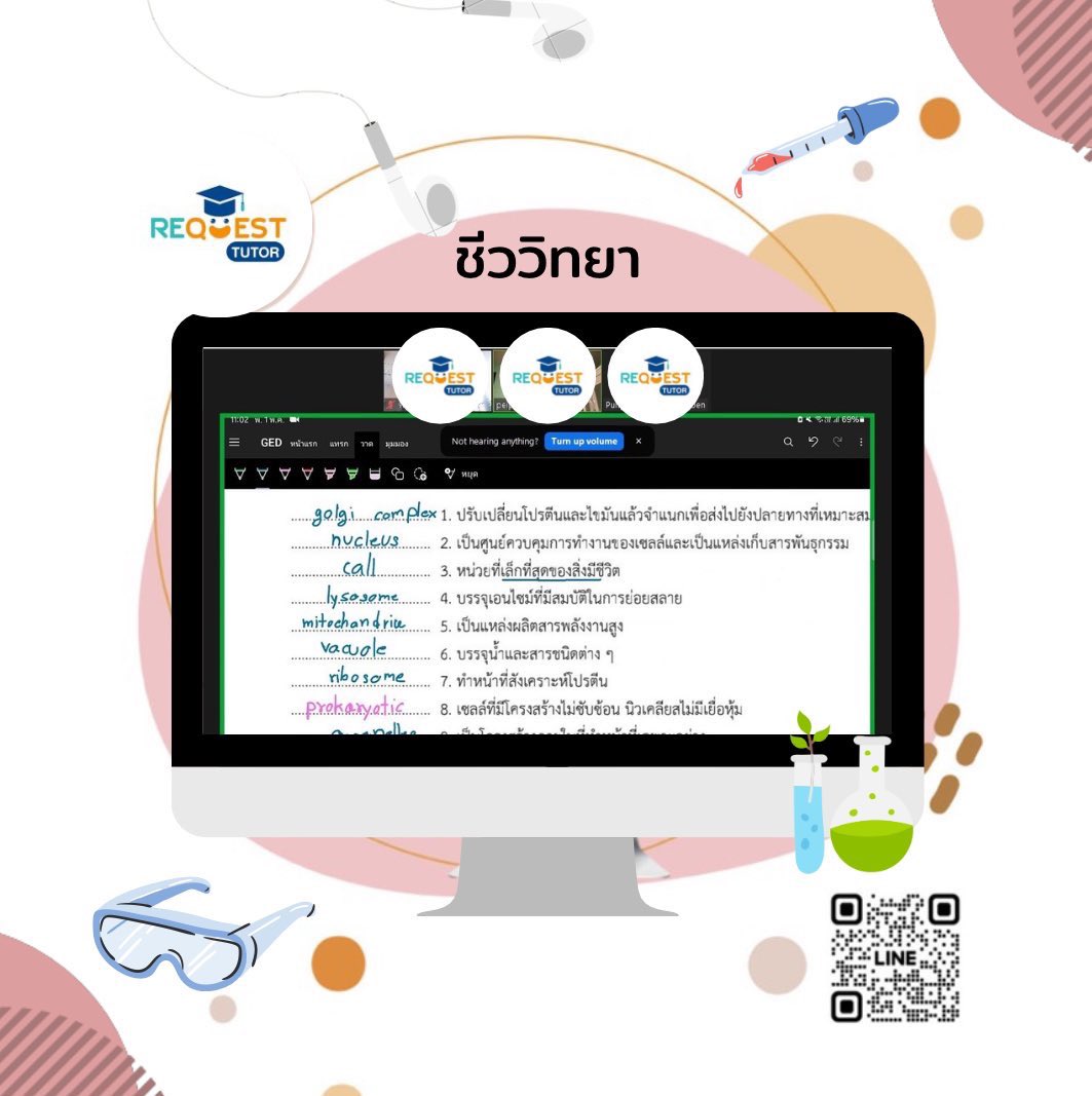 RequestTutor's tweet photo. @behindthenice สวัสดีค่ะ รับสอนนะคะ ยินดีให้คำปรึกษาหรือดูรีวิวเพิ่มเติมหน้าโปรไฟล์ได้เลยน้า☺️ https://t.co/U4FZVSEjr2