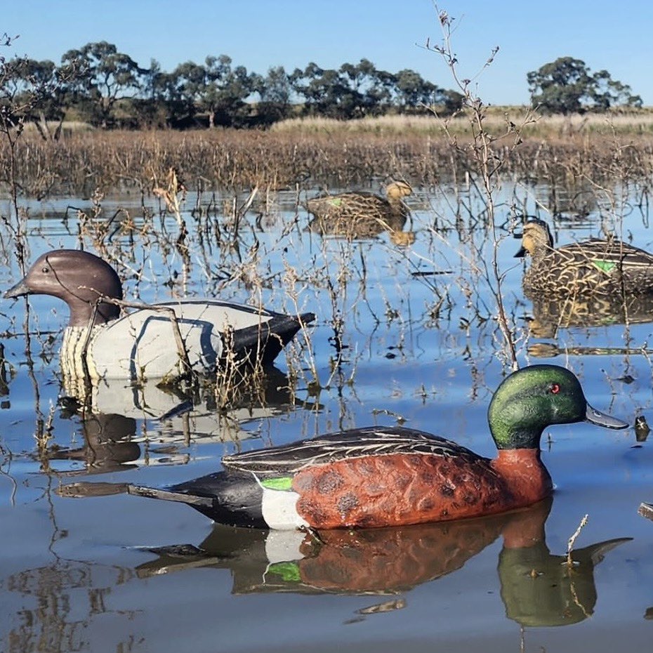 glenn_falla's tweet photo. If you can remove your 👁️ from that Chestnut Teal for long enough, check out that Wood Duck!
#incredible_masterpiece 
#realisticartwork #realisticpainting 
sharp_decoys_australia https://t.co/WnYtASu11F