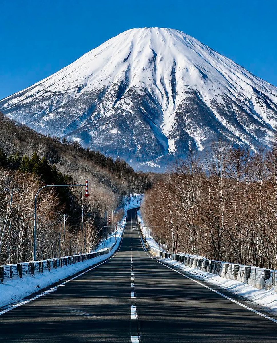 🌸 🇯🇵 tweet media