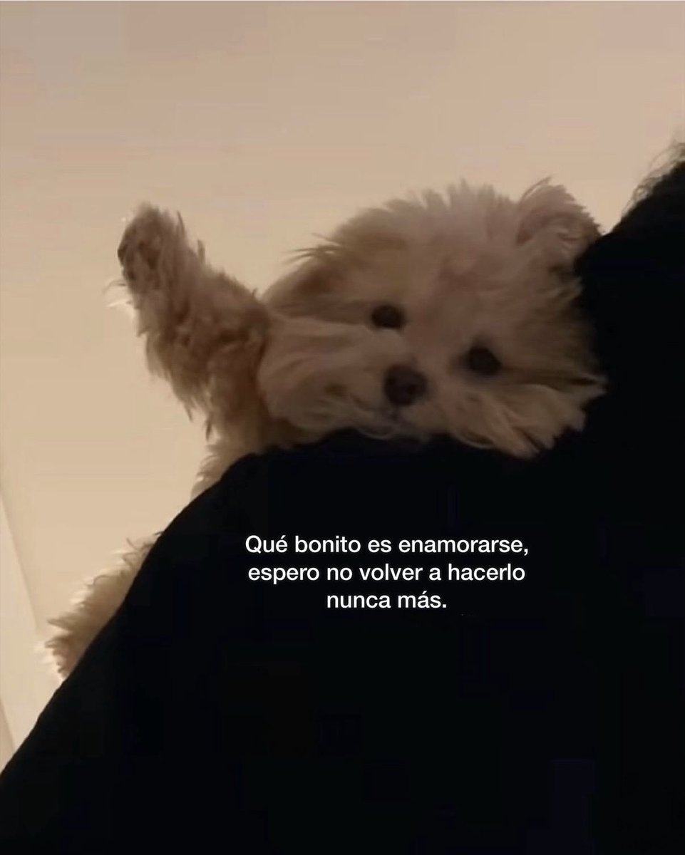 MundoDeBigotes's tweet photo. https://t.co/Jh78tORkbO