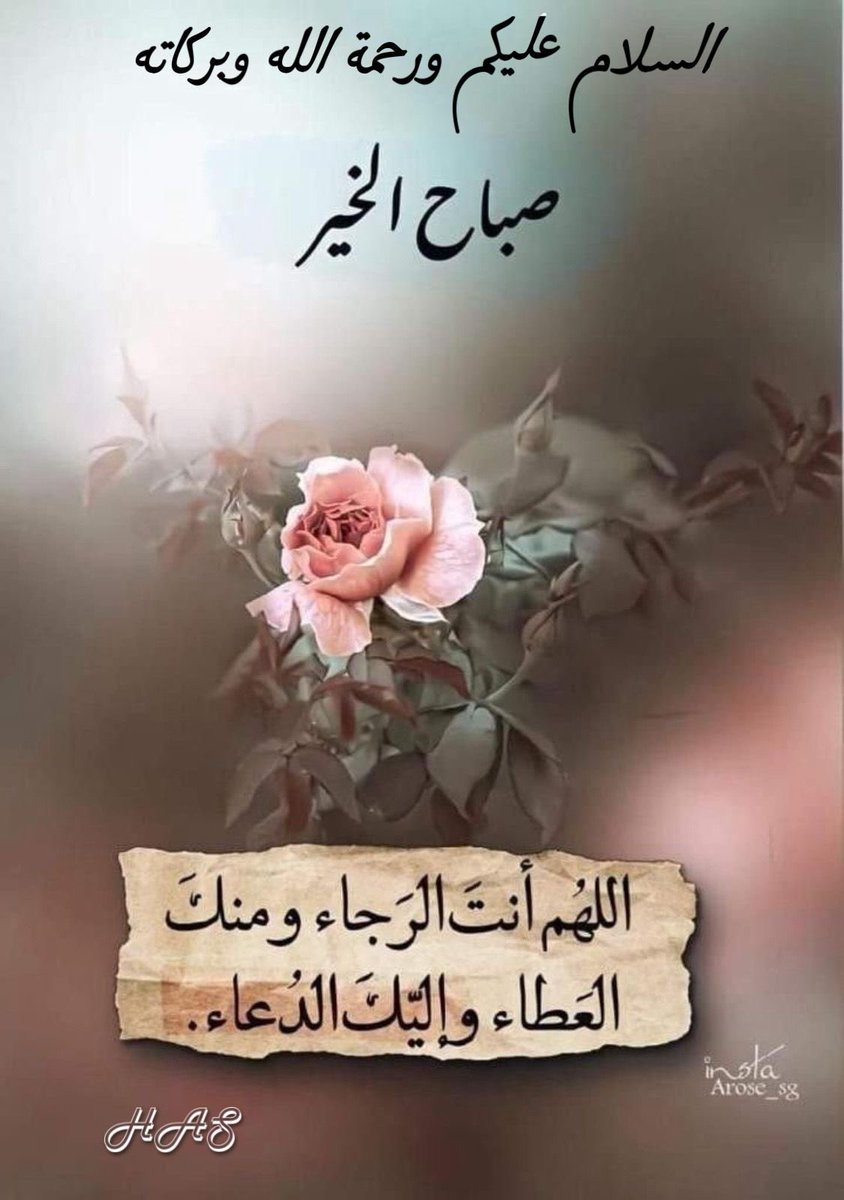 shilliha's tweet photo. @sumou_ana https://t.co/OgFZWkipp8