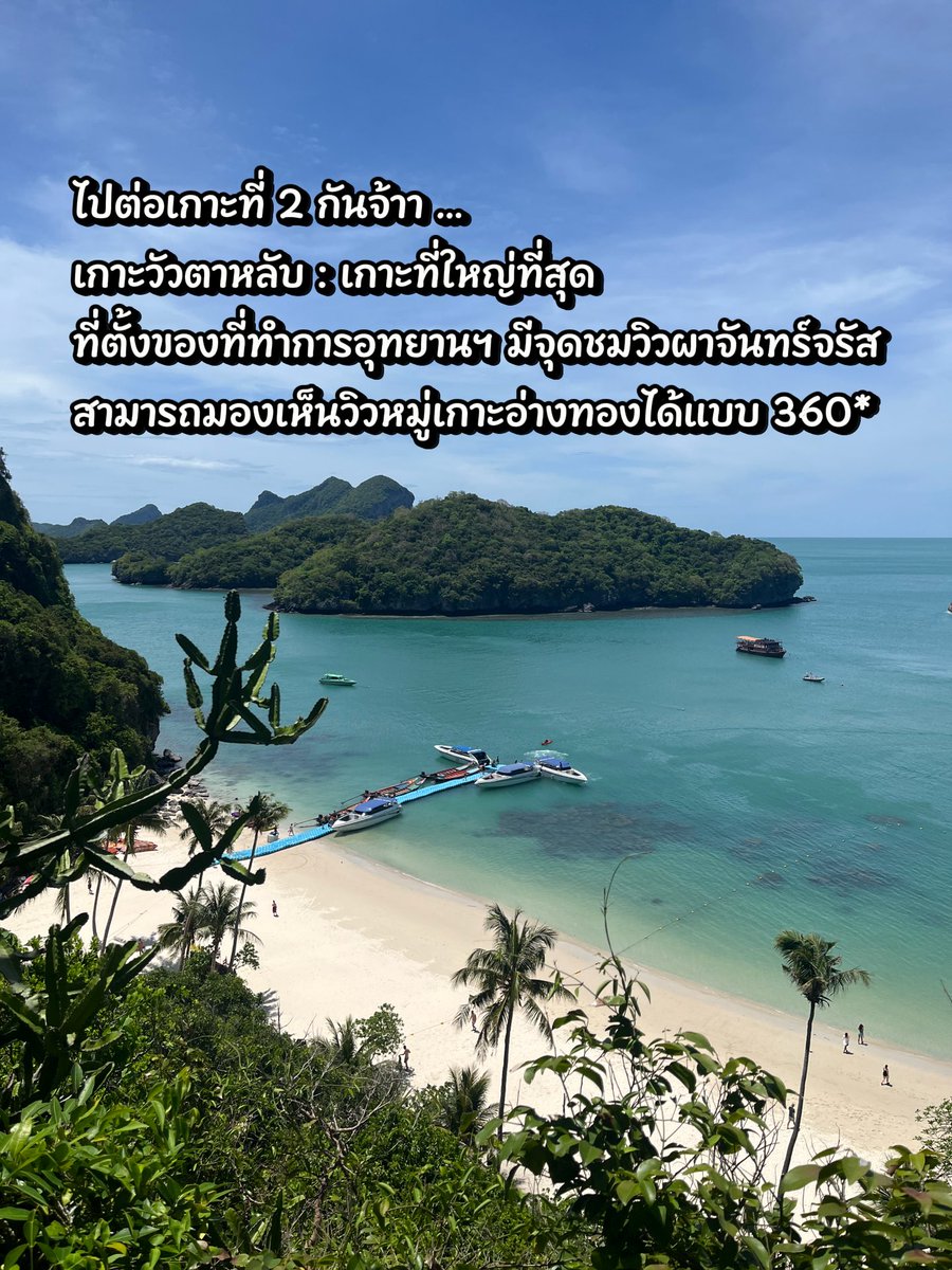 mootamdiary's tweet photo. ใครมาเกาะสมุยแล้วมีเวลา แนะนำให้จอง One Day Trip หมู่เกาะอ่างทองสักครั้ง รับรองไม่ผิดหวัง ✨

#AngthongNationalMarinePark #หมู่เกาะอ่างทอง #KohSamui #SamuiIsland #เที่ยวสมุย #เกาะสมุย #เที่ยวทะเล #เที่ยวไทย #AmazingThailand #ThailandTravel #IslandLife #TravelThailand #ทะเลภาคใต้ https://t.co/pOmrnwAzbt