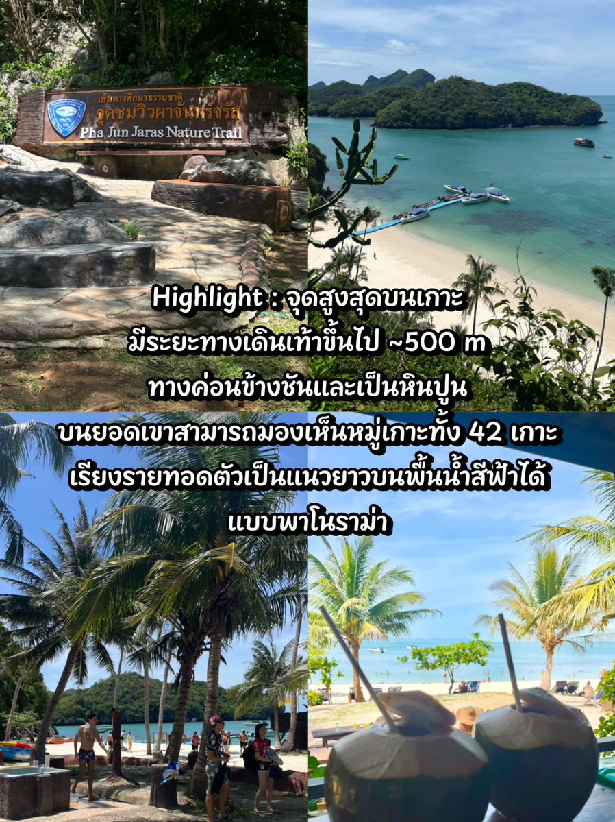 mootamdiary's tweet photo. ใครมาเกาะสมุยแล้วมีเวลา แนะนำให้จอง One Day Trip หมู่เกาะอ่างทองสักครั้ง รับรองไม่ผิดหวัง ✨

#AngthongNationalMarinePark #หมู่เกาะอ่างทอง #KohSamui #SamuiIsland #เที่ยวสมุย #เกาะสมุย #เที่ยวทะเล #เที่ยวไทย #AmazingThailand #ThailandTravel #IslandLife #TravelThailand #ทะเลภาคใต้ https://t.co/pOmrnwAzbt