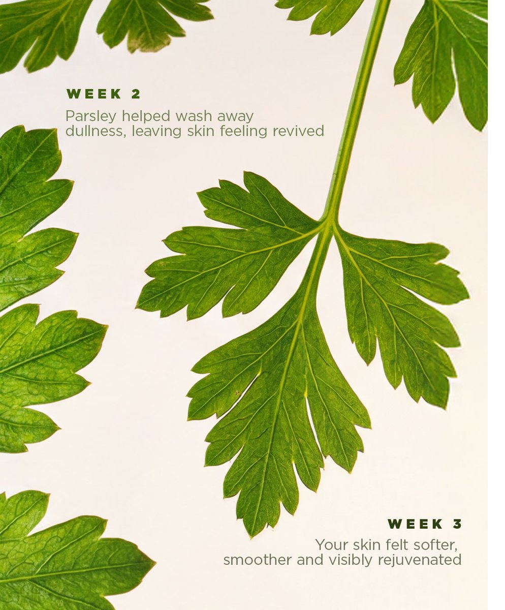 Biotique_World's tweet photo. Some body wash cleanses; ours act as a therapy. With our Basil &amp; Parsley revitalizing body wash, every shower feels a little more restoring, a little more radiant 📷.

The gentle care that washes off the day's heaviness.

#BiotiqueWorld #Ayurvedicskincare #NaturalBeauty #care https://t.co/NCNXMPP9Nf