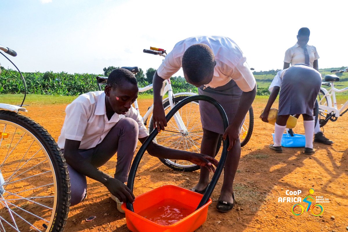 coopafrica's tweet photo. Yesterday, the Rwentuha Seed Secondary School administration and learners received 52 WeLearn-WeTeach bicycles, maintenance toolkits and hands on bicycle repair and maintenance trainings.
#WeTeachUG #WeLearnUG #TeamEurope #GlobalGateway #abikemakesthedifference #Bike4School https://t.co/iSdRYe3hQP