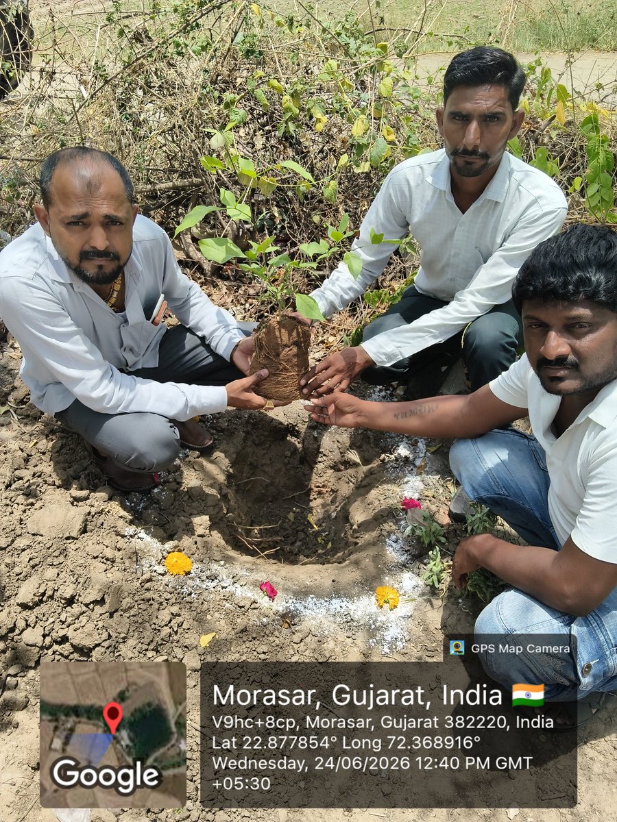 chavada_jaypal's tweet photo. આજરોજ અમદાવાદ જિલ્લાના સાણંદ તાલુકાના લોદરીયાલ ગામે આપણી લોકસભા હરિયાળી લોકસભા અંતર્ગત એક પેડ મા કે નામ અન્વયે ગામની વિવિધ જગ્યાઓ પર વૃક્ષારોપણ કરવામાં આવ્યું તમામ ગ્રામજનો ગામના આગેવાનો અને કર્મચારી મિત્રો સૌએ કાર્યક્રમમાં સાથ સહકાર આપ્યો @CollectorAhd @dp_amdavad @NirajBarot12 https://t.co/LXkd4Mizlq