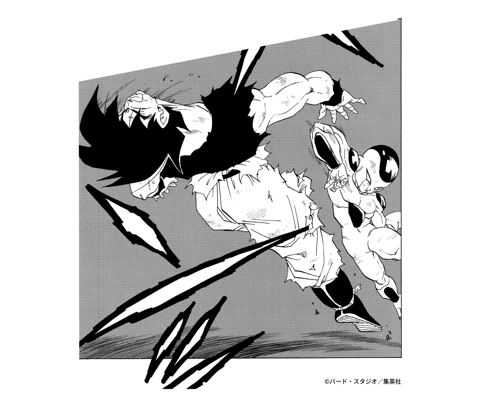 千空様ご確認様 HLkH-VmbIAAMmfc?format=webp&