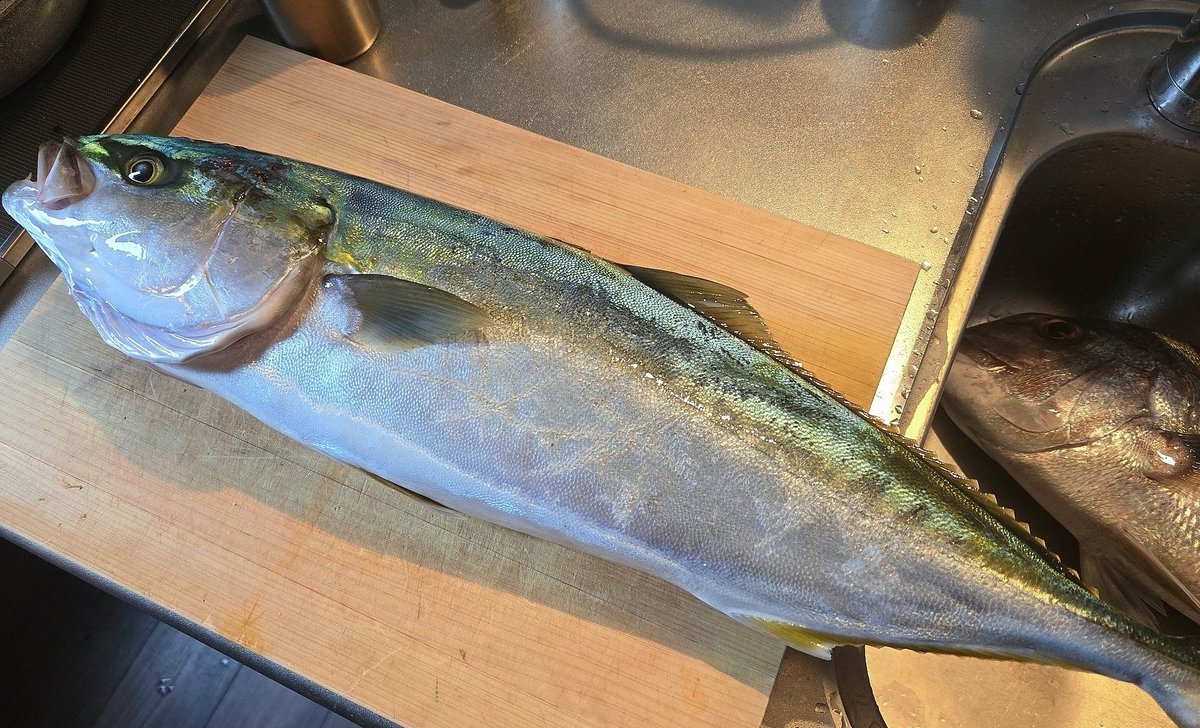pecoch's tweet photo. 今日の晩飯
真鯛やばすぎぃ！
しんだ魚の目こわすぎぃ！ https://t.co/qrxEecSnCv