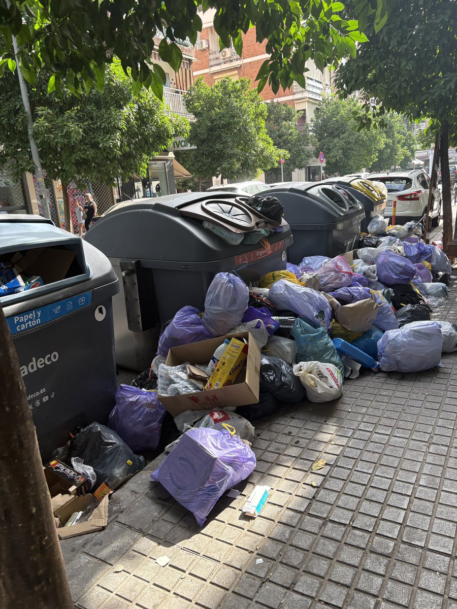 ferrer1969's tweet photo. Sr @jmbellidoroche esta es la imagen de ciudad que queremos dar? @sadecocordoba @ayuncordoba_es https://t.co/SAB9Rse6hb