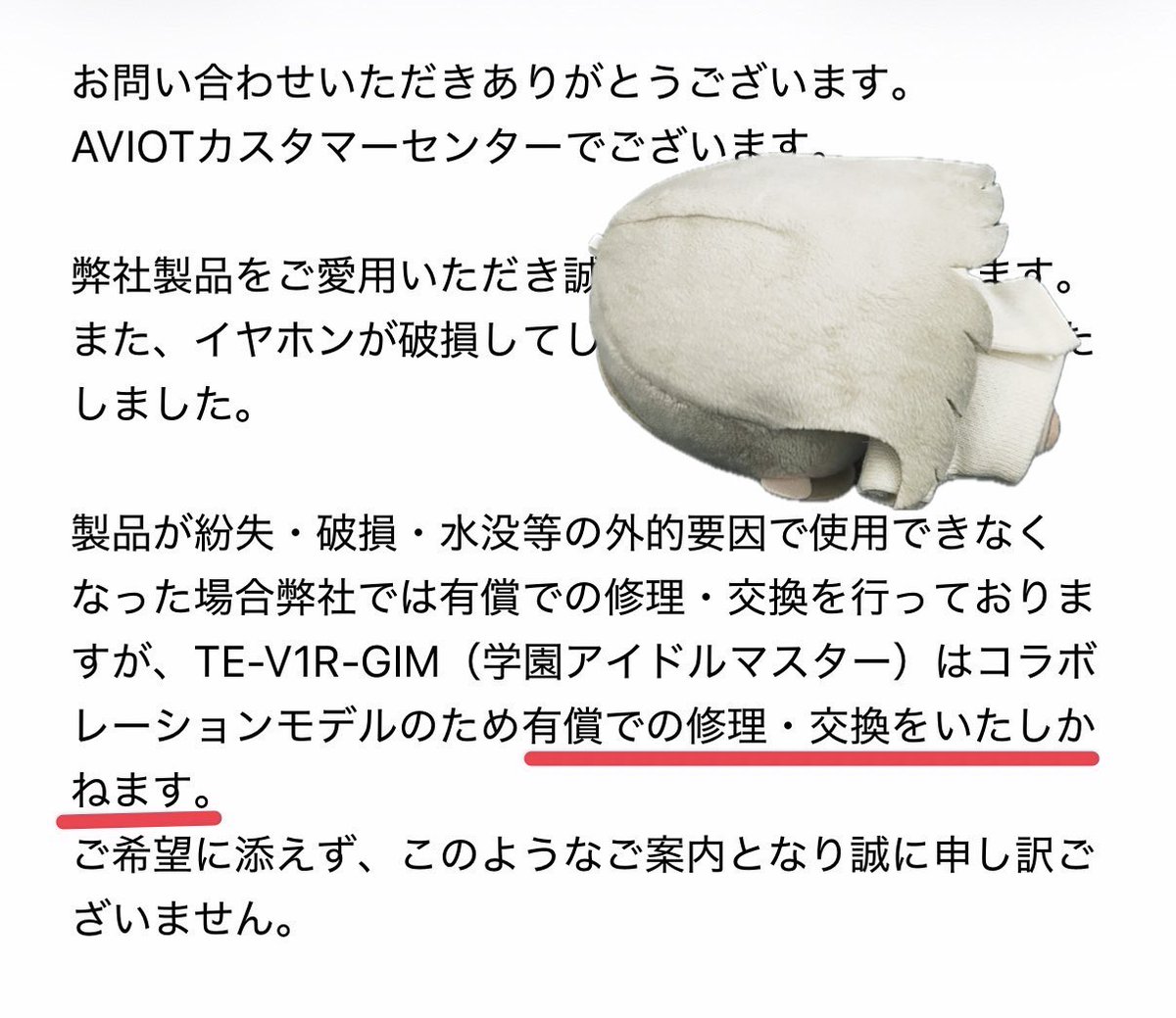 期間限定　15000円引き！✨️究極レア!!!　イブナ隕石標本 保証、対象外＿＿＿＿＿