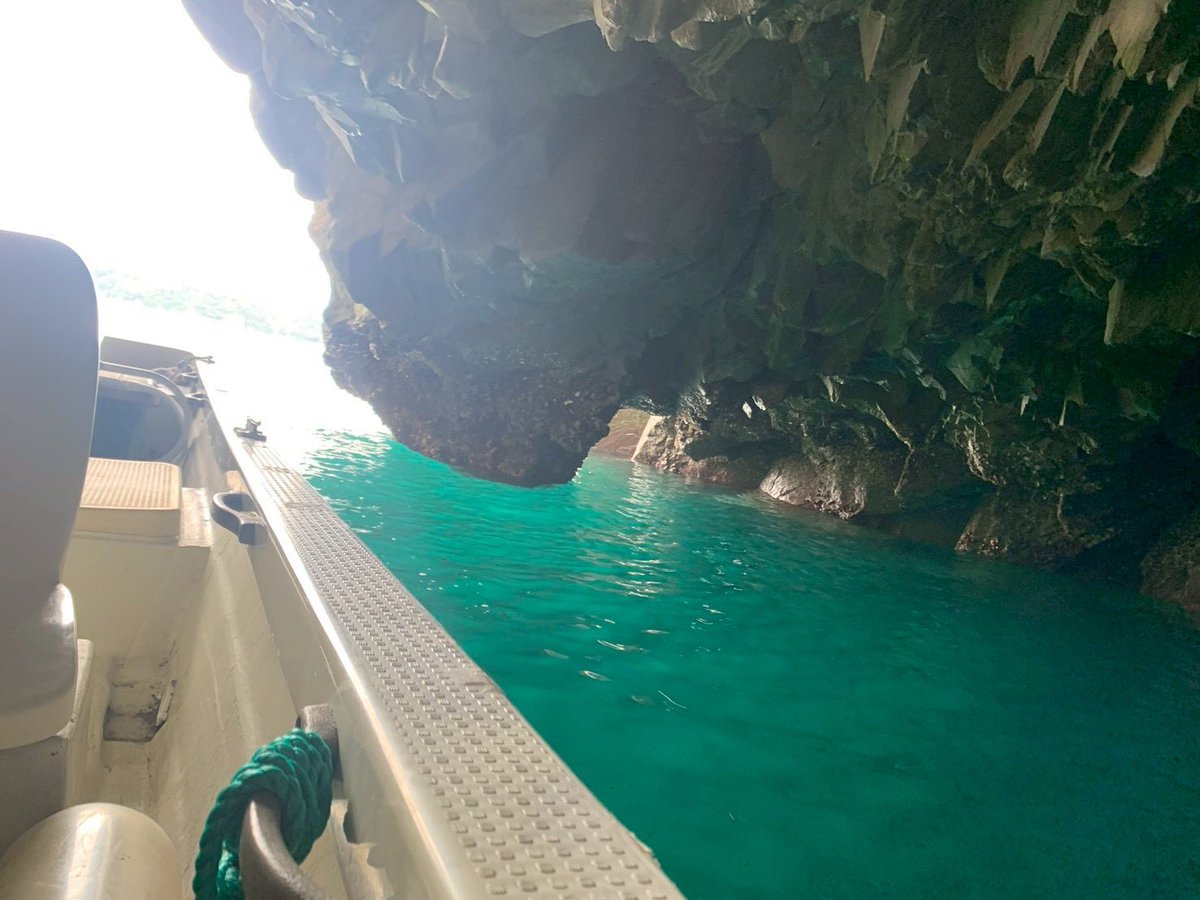 sinji_ygo's tweet photo. ちなみに行ってきたのは浄土ヶ浜ってところ！めっちゃ綺麗な海だったーまた行きたいな
今度はボート借りて釣りチャレンジしたい https://t.co/VbfNQoiyRI