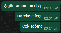 rapunceline's tweet photo. gece uyanık olunca benim a0 olan dillerin eksilere düşme anı https://t.co/4vFFM1umnK