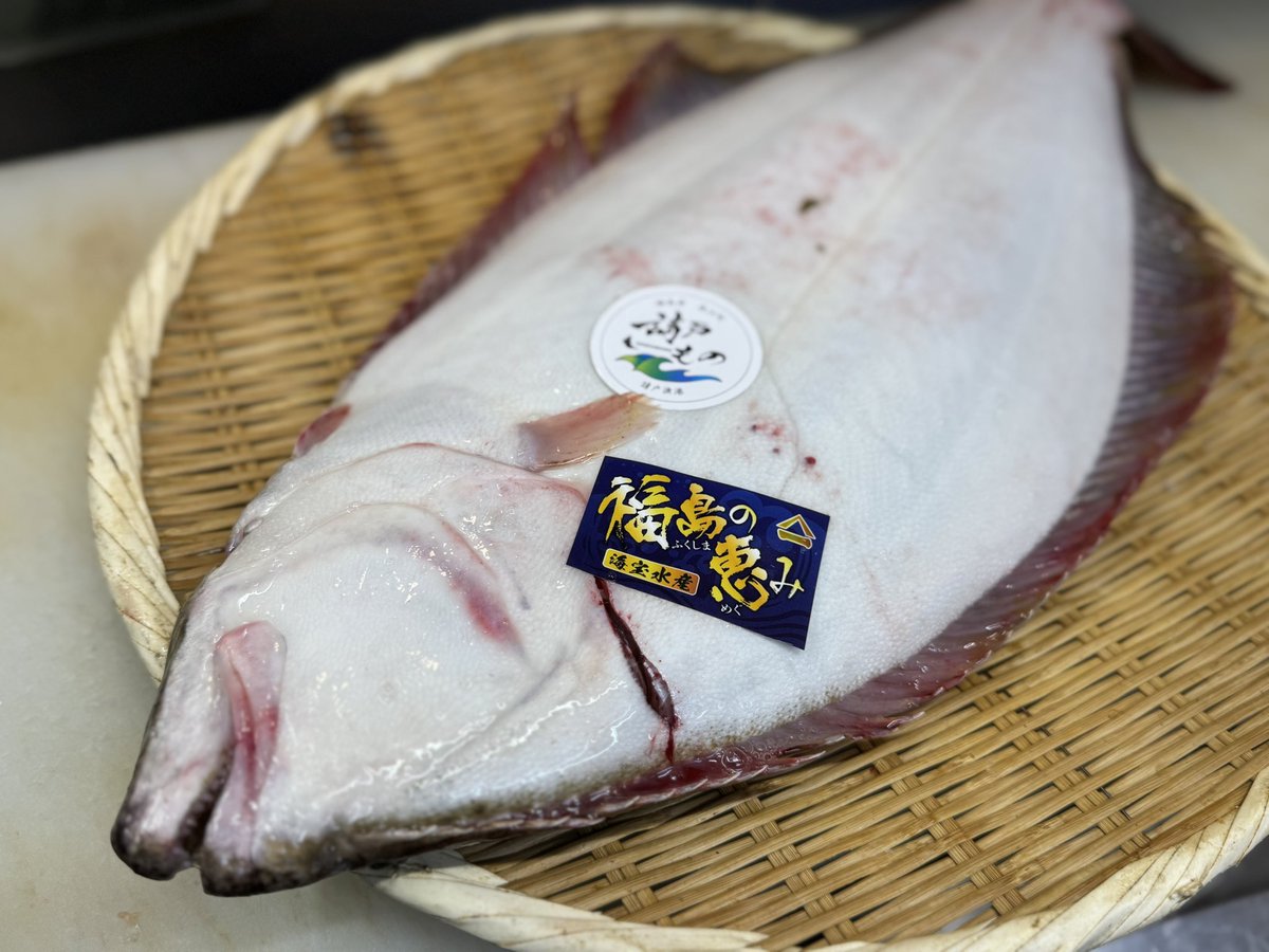 filament___'s tweet photo. 安定の品質、福島県海宝水産卸
神経抜き活〆天然平目！ https://t.co/iBIKRK3cl2