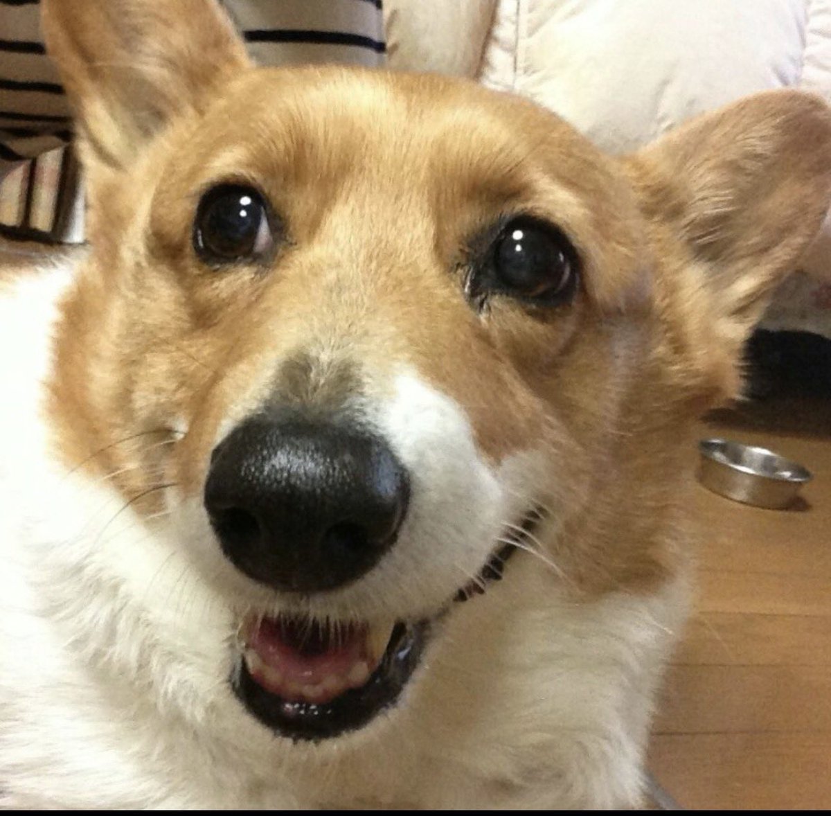 MOSSAN3_DF's tweet photo. @makishim2019 普通に死にたくなる案件でワロエナイ https://t.co/u8dPRq453F