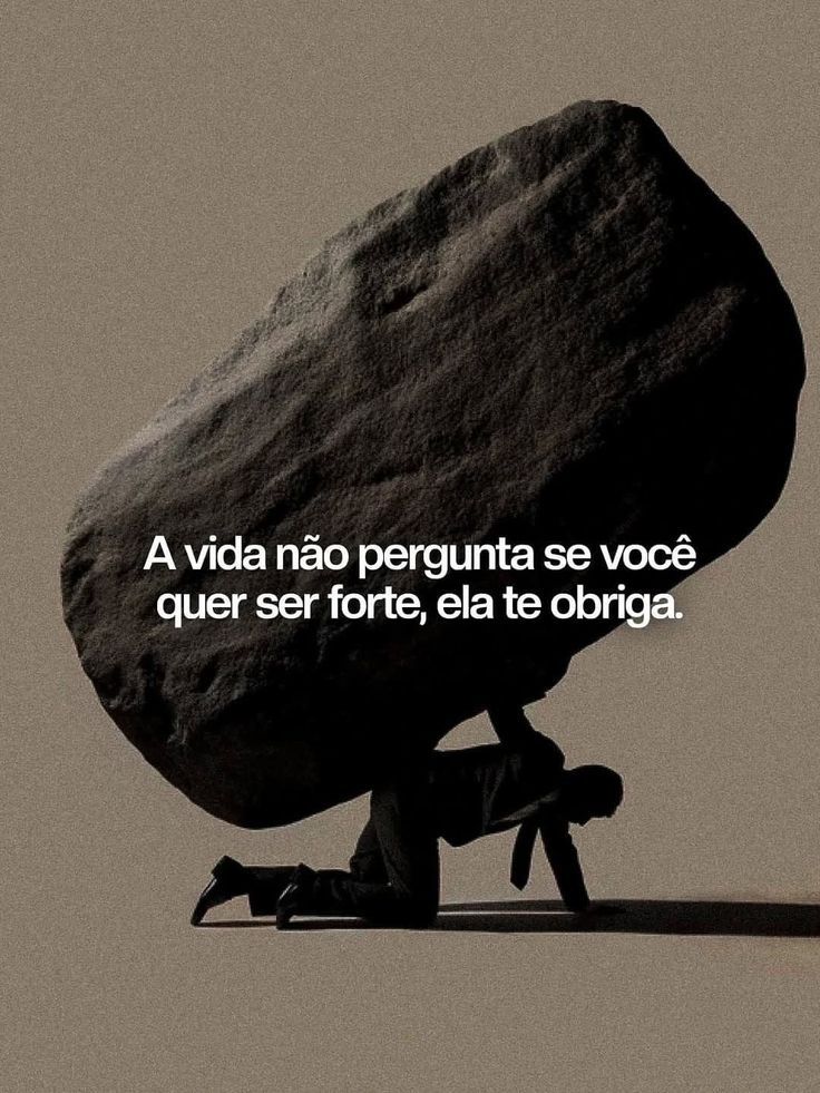SigaArmandinho's tweet photo. https://t.co/V052qJwbps
