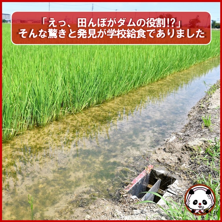 JA_Aichi_Chuo's tweet photo. 🌾田んぼが街を守る!?🌧️
安城市の学校給食で、水田貯留に取り組む田んぼのお米を提供！
地産地消＆防災の未来を一緒に考えよう✨

#地産地消
#学校給食
#防災
#安城市
#碧海そだち
#JAあいち中央 https://t.co/oknN9tBocJ