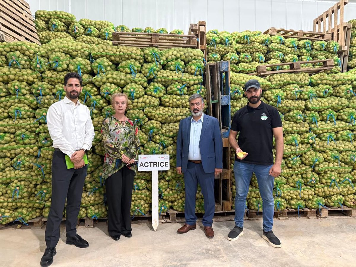 AgroIrak's tweet photo. Wherever the potato is, we're there!  

This week we visited #AgroPlant and joined #BEEP's potato field day. Glad to meet the Minister of Agriculture and potato stakeholders there. Dutch companies supply 80%+ of Iraq's seed potato market — boosting food security &amp; jobs. https://t.co/V2u0jvDVtV