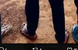 josephdeon3's tweet photo. @Am_Blujay Someone better hold him tight, otherwise those feet are about to file a missing person report https://t.co/CexIeh5K5S